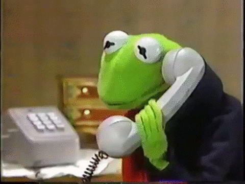 1699271295988-758.gif